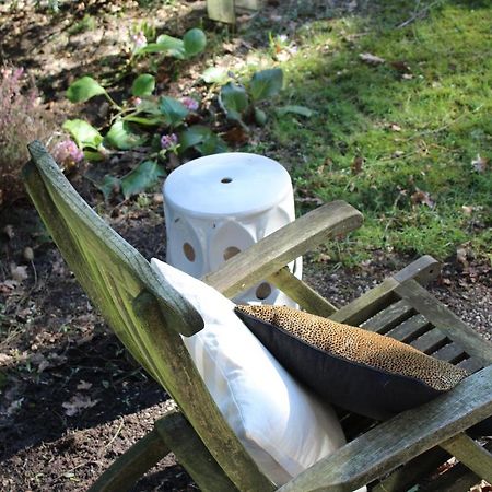 Sfeervol Vakantiehuisje In Bosrijke Omgeving Vorden Bagian luar foto