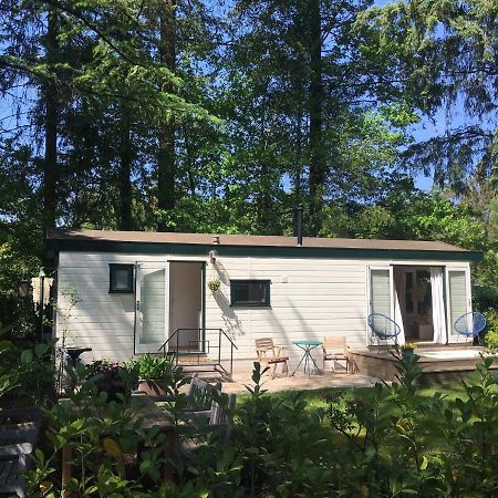 Sfeervol Vakantiehuisje In Bosrijke Omgeving Vorden Bagian luar foto