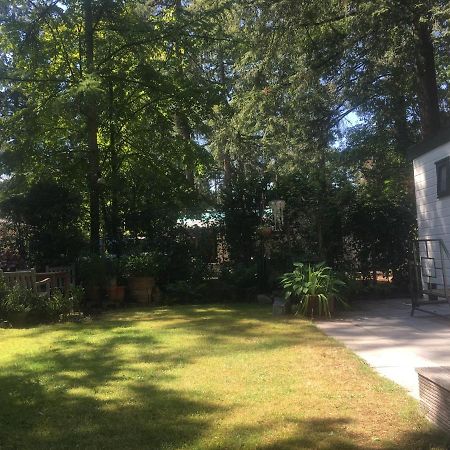 Sfeervol Vakantiehuisje In Bosrijke Omgeving Vorden Bagian luar foto
