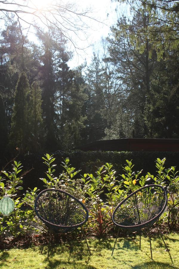 Sfeervol Vakantiehuisje In Bosrijke Omgeving Vorden Bagian luar foto