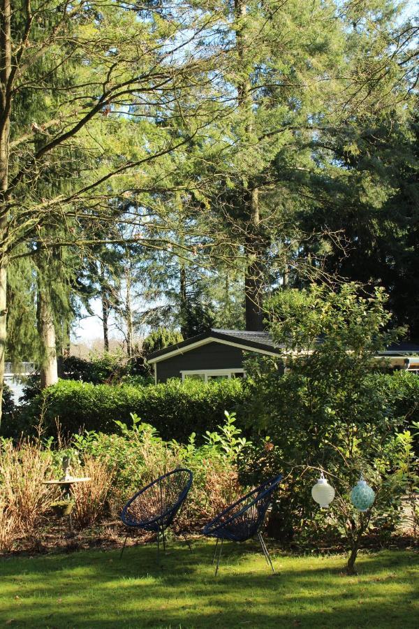 Sfeervol Vakantiehuisje In Bosrijke Omgeving Vorden Bagian luar foto