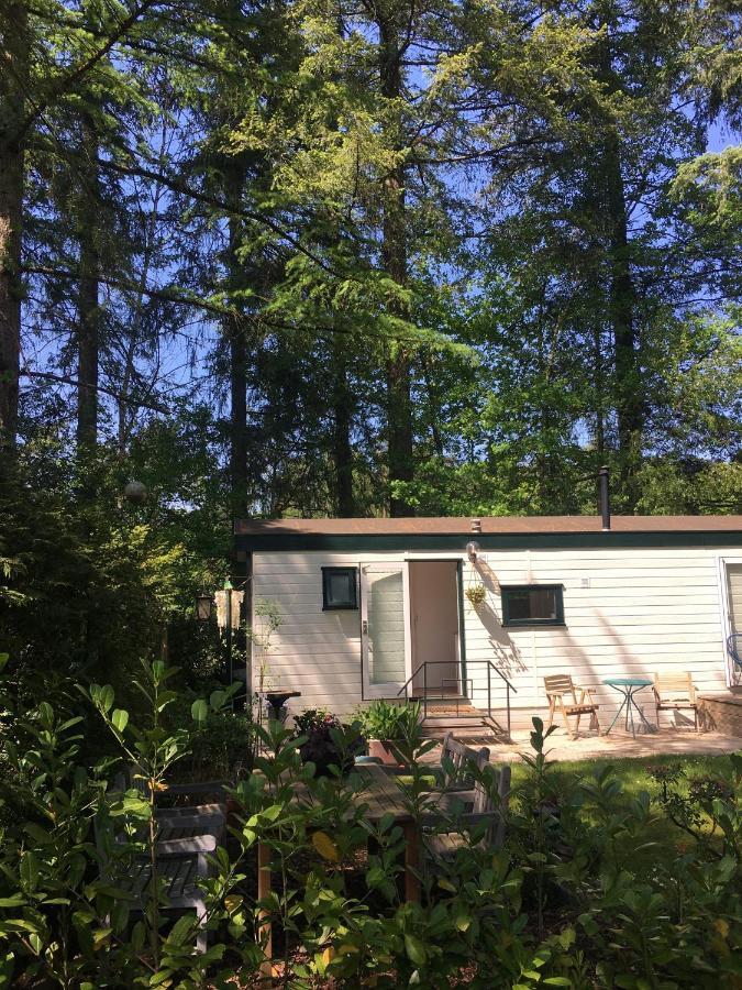 Sfeervol Vakantiehuisje In Bosrijke Omgeving Vorden Bagian luar foto