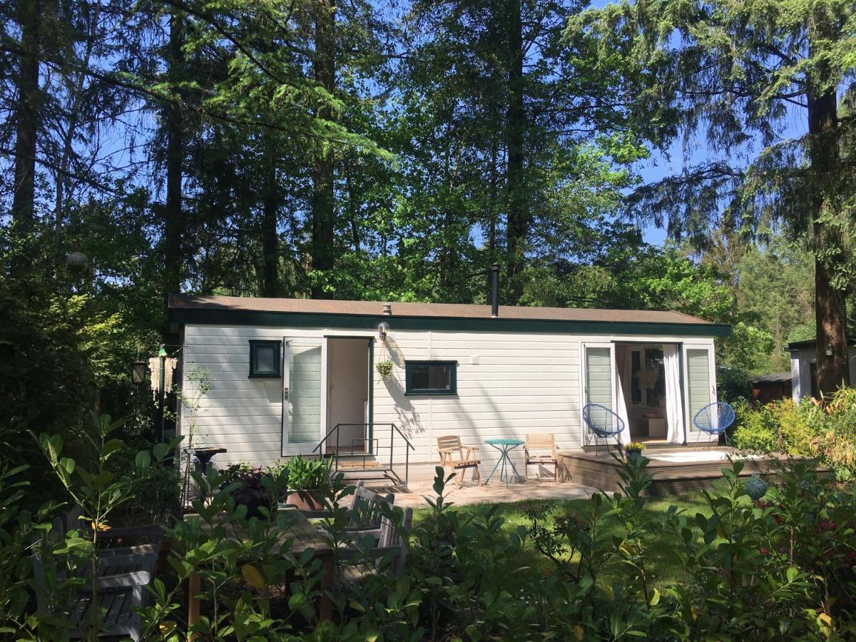 Sfeervol Vakantiehuisje In Bosrijke Omgeving Vorden Bagian luar foto