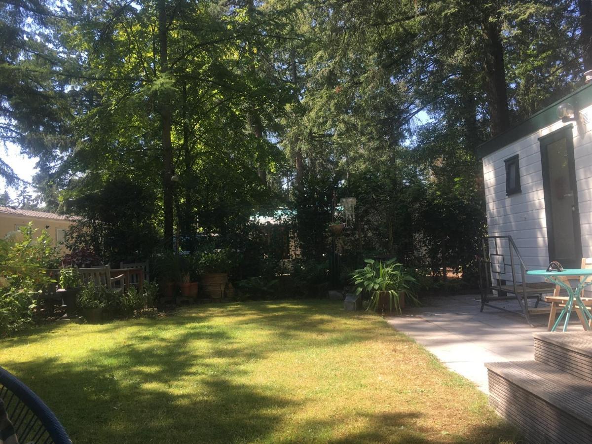 Sfeervol Vakantiehuisje In Bosrijke Omgeving Vorden Bagian luar foto