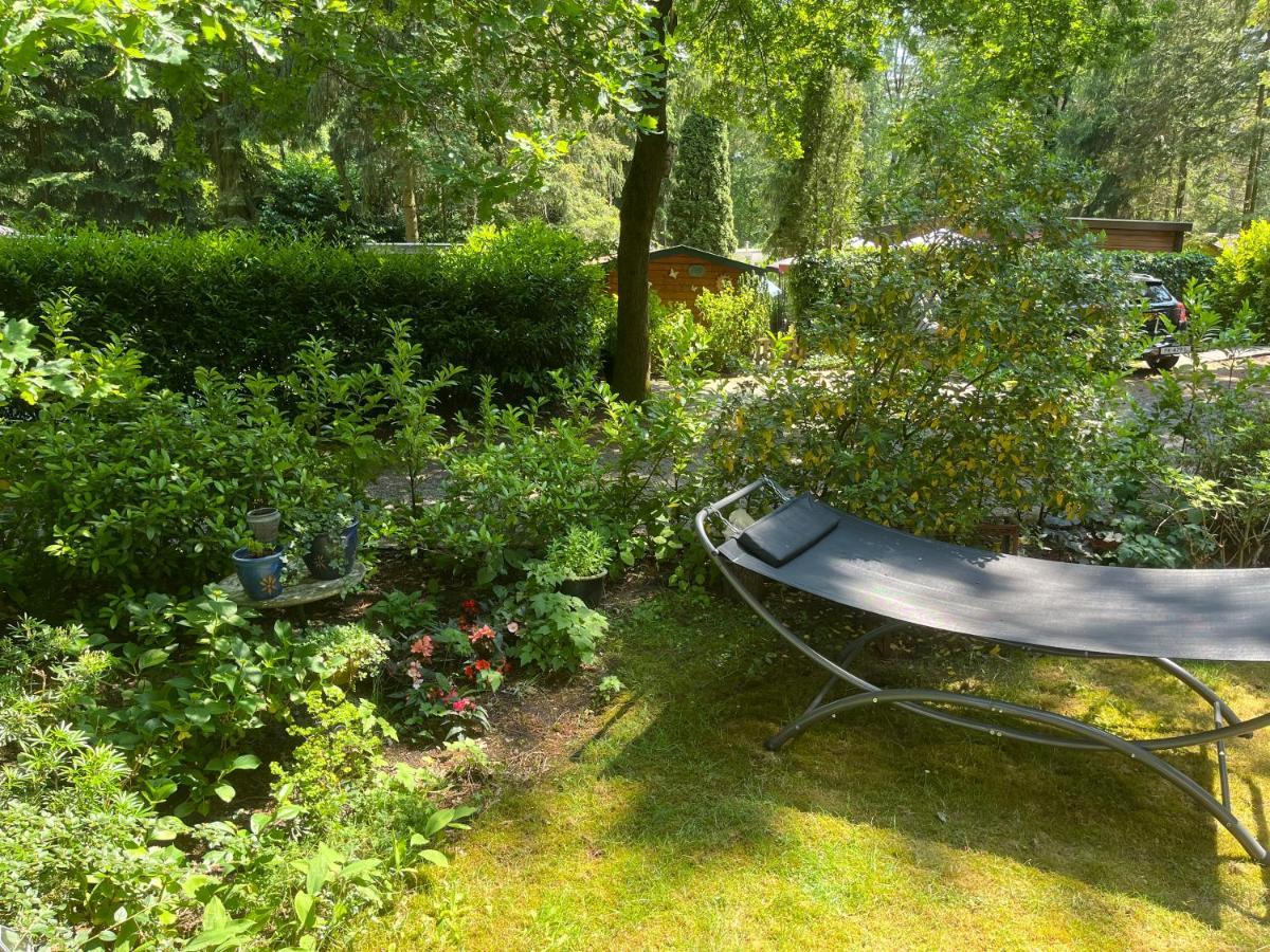 Sfeervol Vakantiehuisje In Bosrijke Omgeving Vorden Bagian luar foto